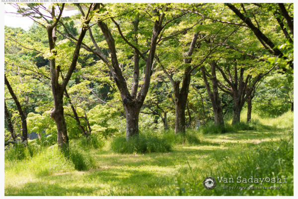 その時点での”粋”がいつでも通用するわけではない