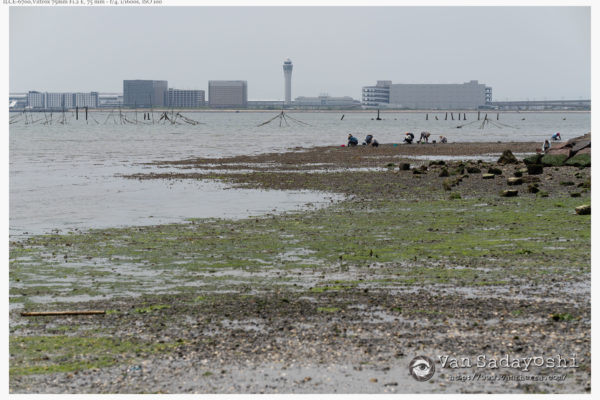 白レベルの扱い