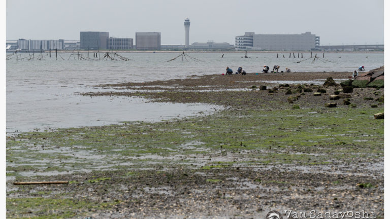 白レベルの扱い