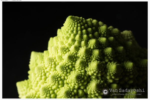 ブツ撮りがしたい