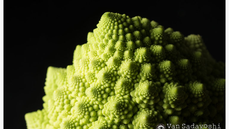 ブツ撮りがしたい