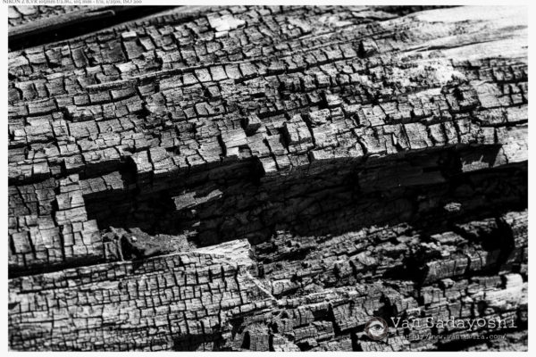 写真のリテラシー