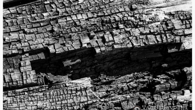 写真のリテラシー