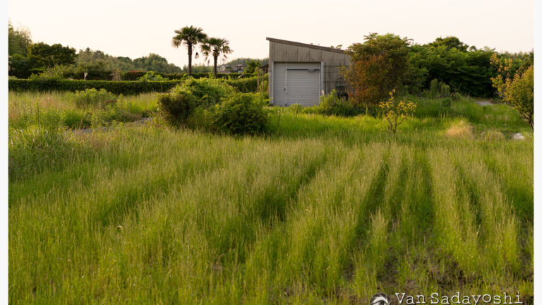 シスレーが身につまされる