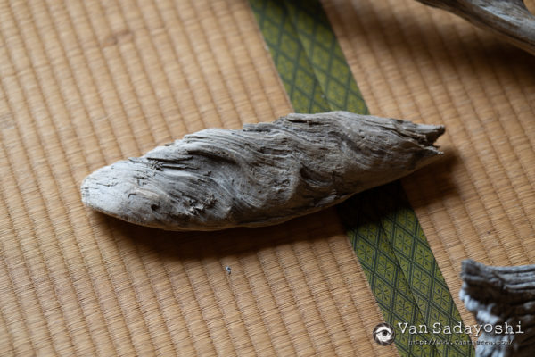 被写体の強さと作品になるかならないか