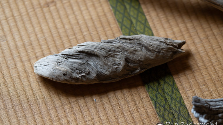 被写体の強さと作品になるかならないか