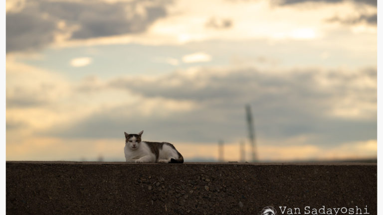 演出をある程度やっちゃったほうが親切