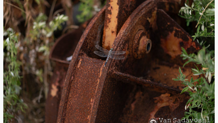 反射きらりで存在感に違い