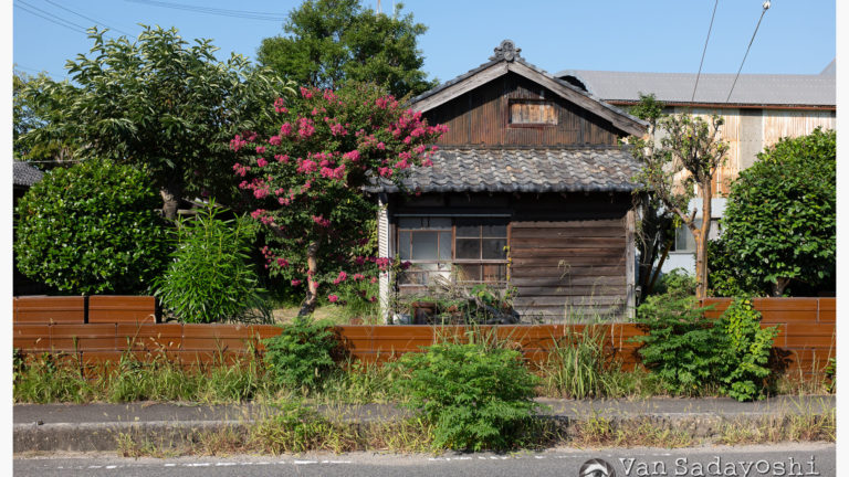ローリングシャッター事例