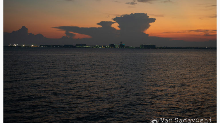 本当に見せたいところ