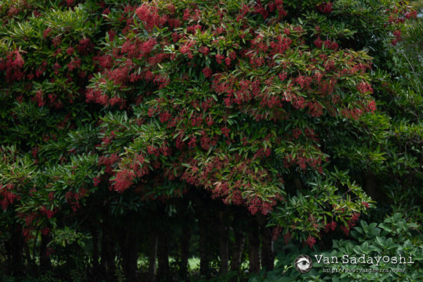 美術史と作家の関係
