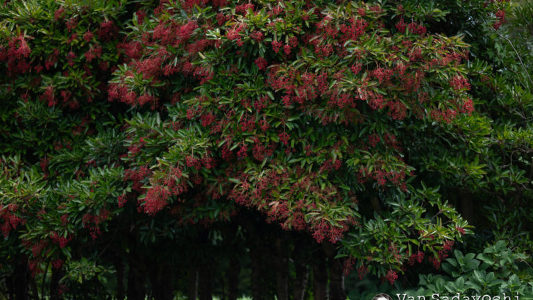 美術史と作家の関係