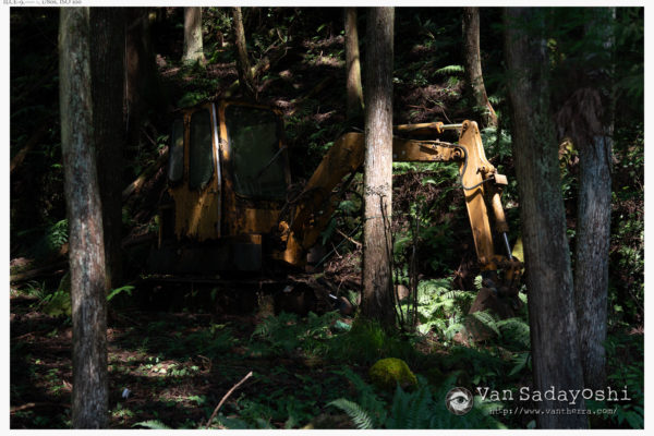 今日の写真をシャドー持ち上げ