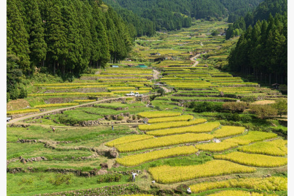 かすみの除去を空気遠近法になっている風景に
