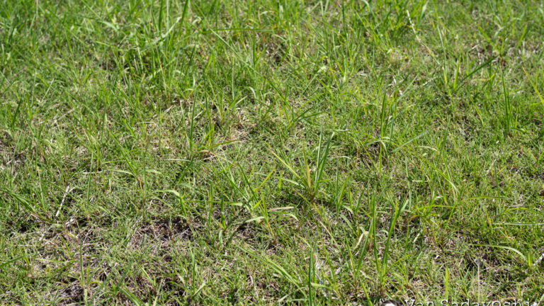 ロケハンに行ってきた