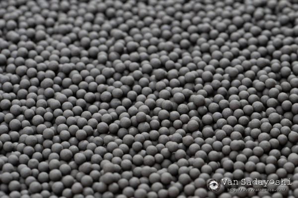 愛知県職業カメラマン協会をやるかなと