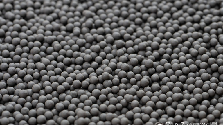 愛知県職業カメラマン協会をやるかなと