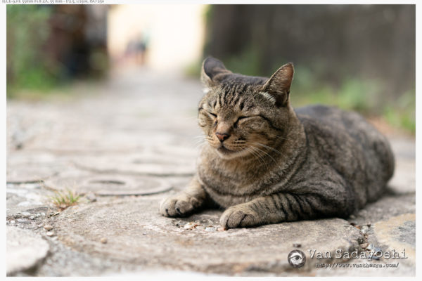 写真展の準備でやらなければならないこと