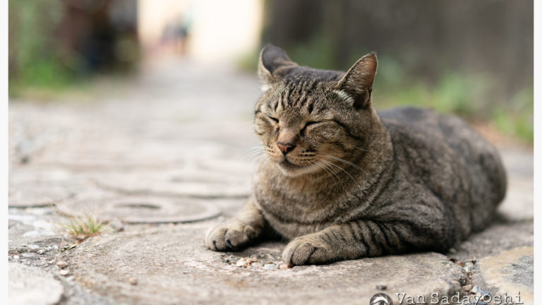 写真展の準備でやらなければならないこと