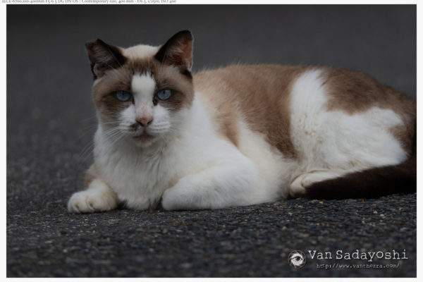 シャッタースピード設定