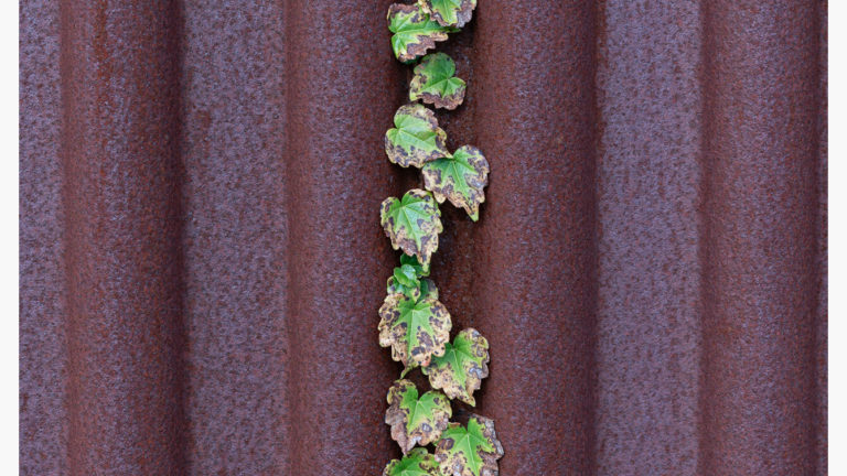 初心にかえってホワイトバランスネタ