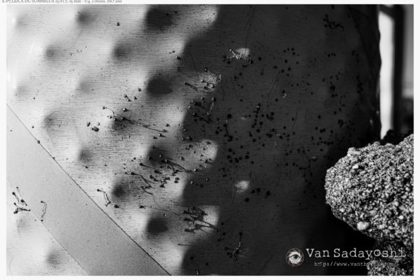 印刷どうするね問題