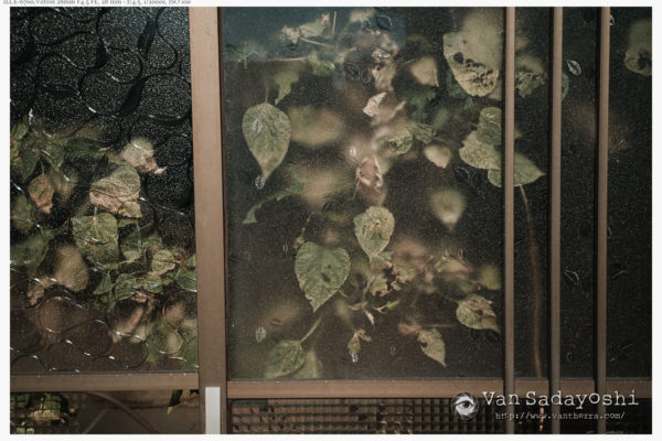 写らないレンズと撮り方の変化