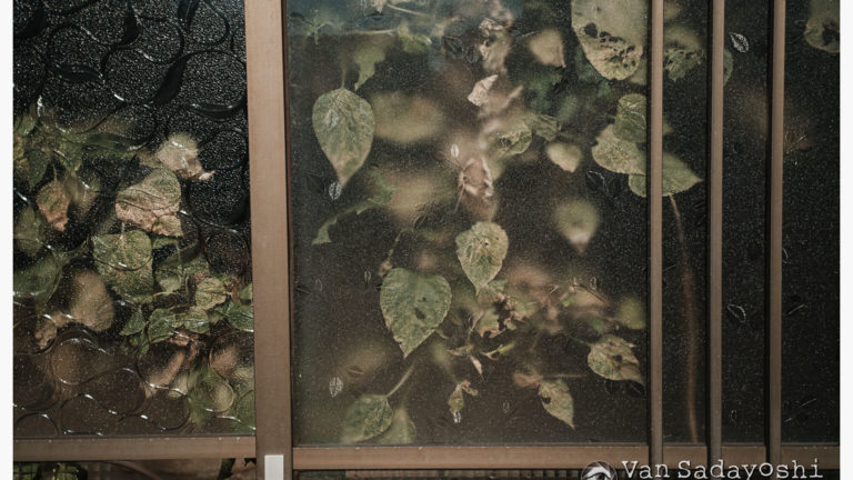 写らないレンズと撮り方の変化