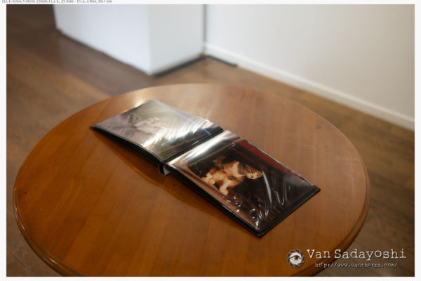 ハレパネの反きょりがシャレにならない