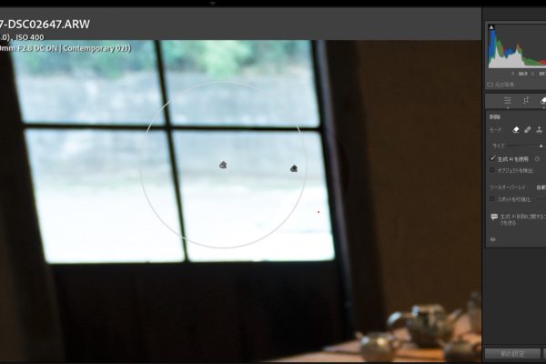 生成AI削除ツールが凄かった