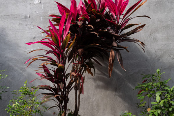 変な写真を出す度胸