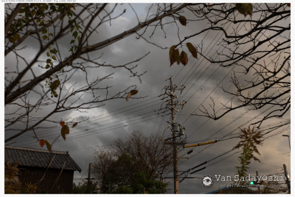 中華機材の未来