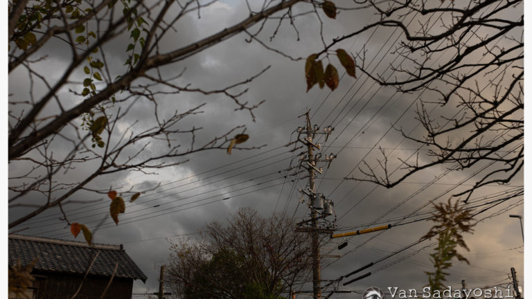 中華機材の未来