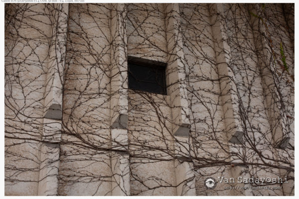 ちょっとしたハイライト