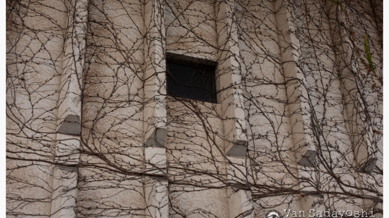 ちょっとしたハイライト