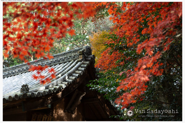 自動レタッチが小学校に入ったくらいのレベルに