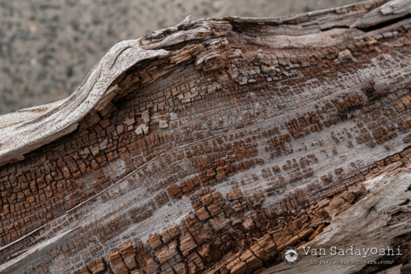 ブツ撮り撮影キットを見かけた