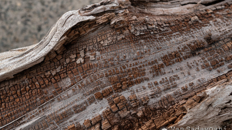 ブツ撮り撮影キットを見かけた