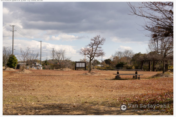 迫力ある姿で撮るには何が重要か？