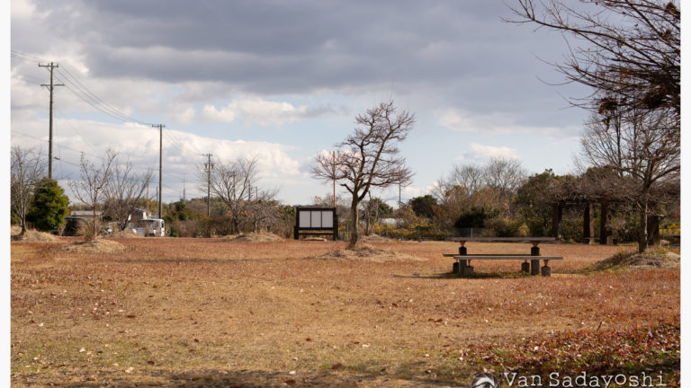 迫力ある姿で撮るには何が重要か？