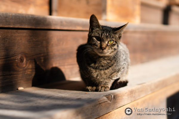 押す精神的な障壁の大小