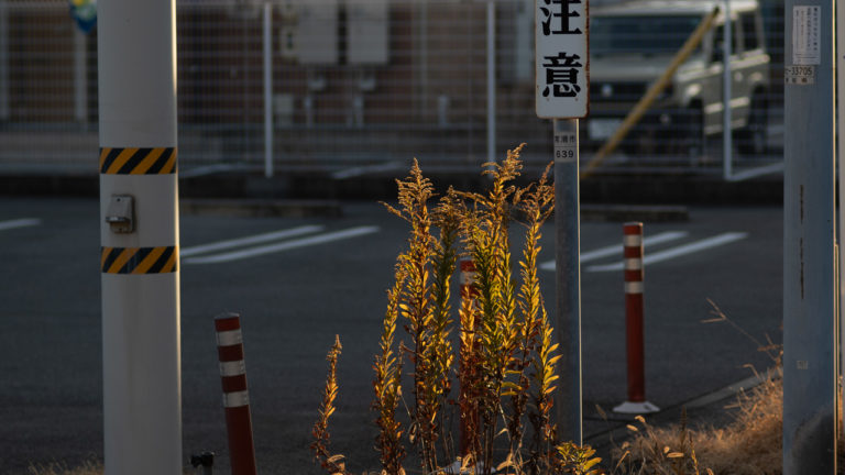 夕暮れらしい現像
