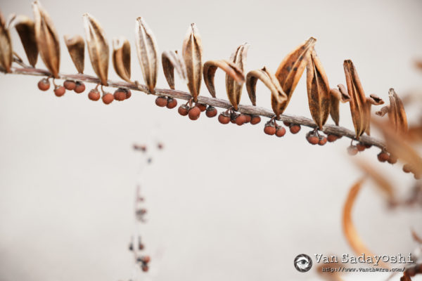 困難の形は人それぞれ違う（現実的な意味で