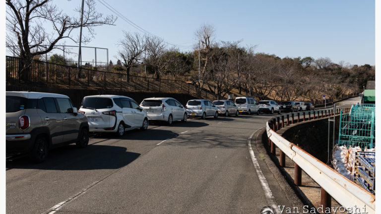 方法論的写真家