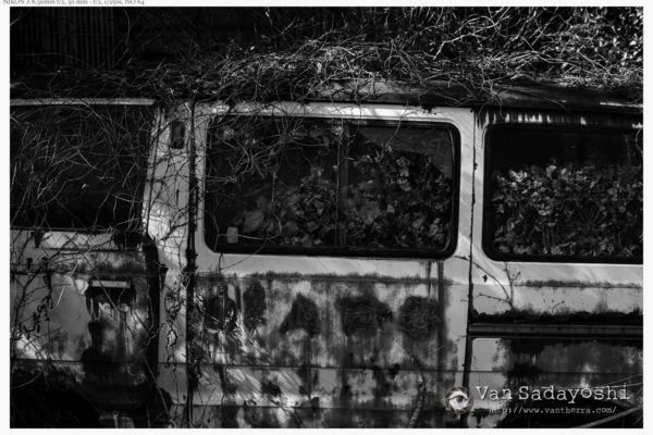 ライカは勇気をくれる論