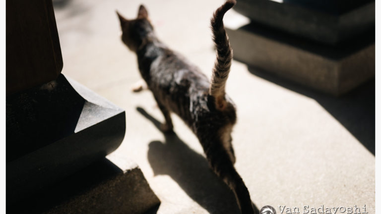 回折について解説しよう