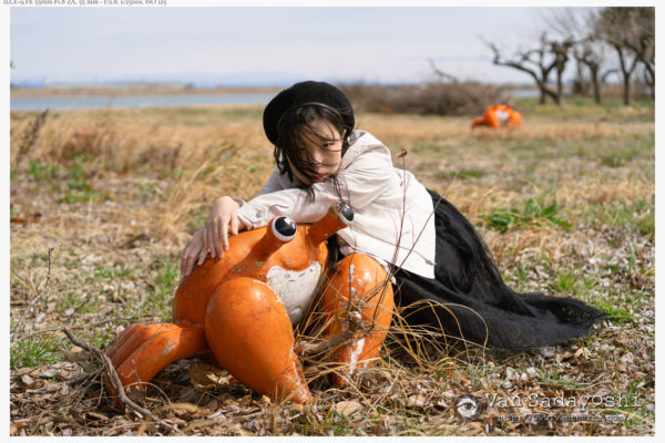 α9とα6700で似たようなカットを撮ってみた