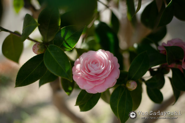 現場でやっぱり悩む