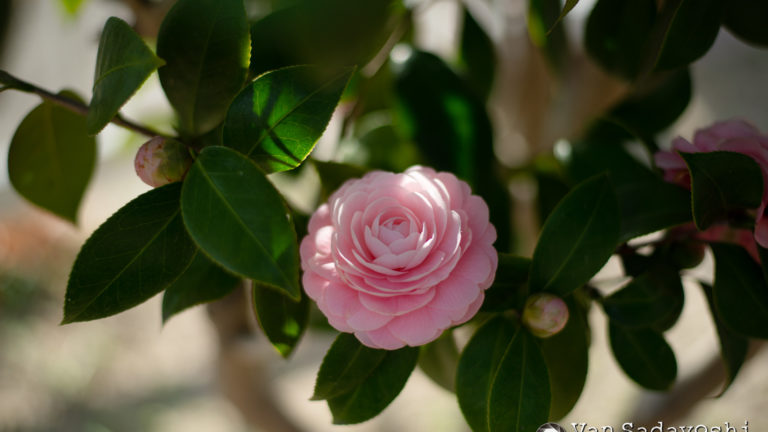 現場でやっぱり悩む