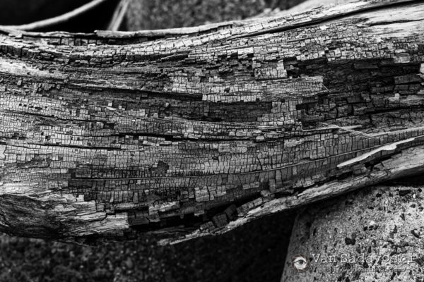 「何が写っているか」から離れられるか